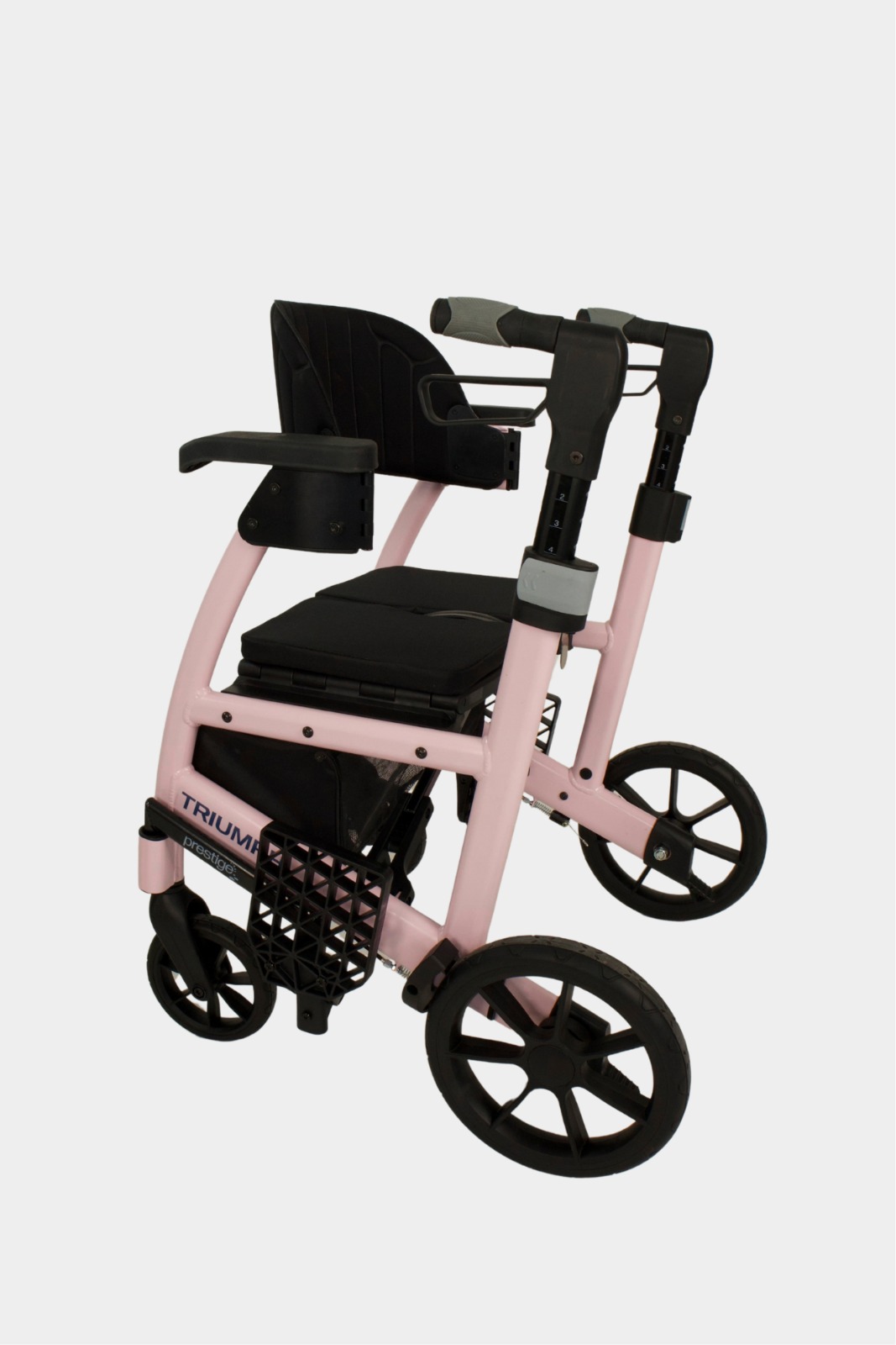 Triumph Mobility — photo 3